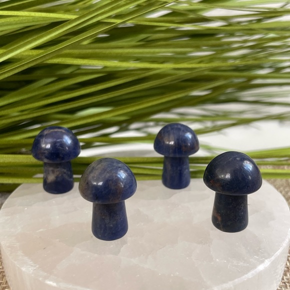 🪬 Mini Mushrooms crystals 🪬 - Picture 3 of 5